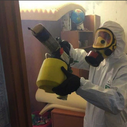 Уничтожение клопов в квартире. Семикаракорск